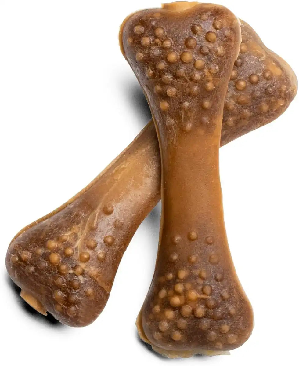 armandhammerusa.com